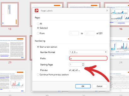 labeling pages in PDF Extra